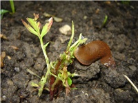 153ab87d-Picture 007.jpg